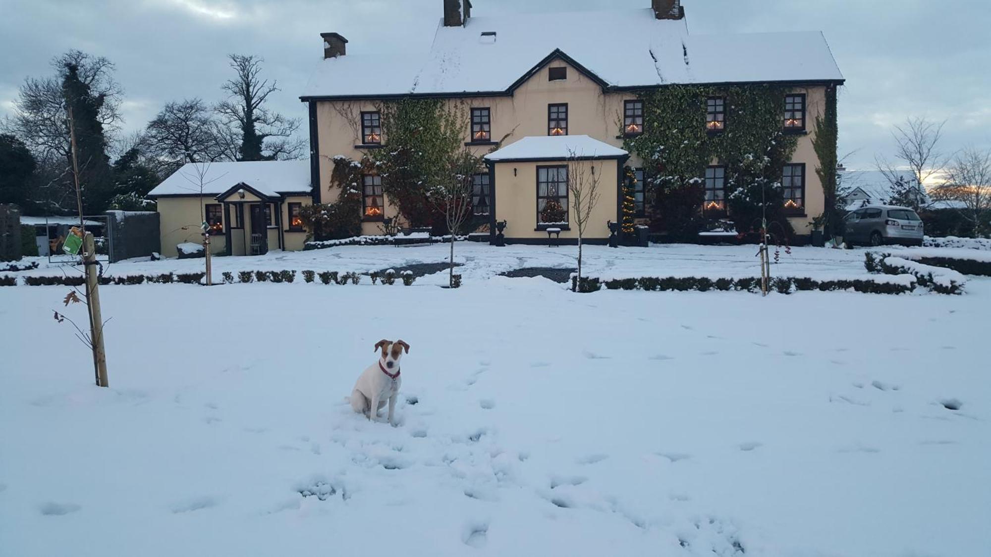 Charlotte'S Way B&B Banagher Eksteriør bilde